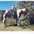 Tamra Hamblin Ratieta's profile image