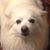 Scottie Rice's profile image