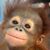 Desiree Irby's profile image