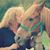 Debra Stevens's profile image