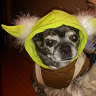 Eric DeCuir J.'s profile image