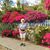 Marie Mccloskey's profile image