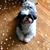 Jessica Rouse Williams's profile image