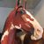 Bernadette Marie Phillips's profile image