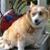 Gayle Biedenharn Walker's profile image