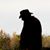 TheHeritage Hunter's profile image