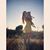 Brandi Martin's profile image
