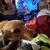 Kimberly S. Sessamen-Wiser's profile image