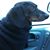 Lyn Rowe's profile image