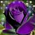 Tabatha Polt's profile image