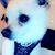 Alicia Gail Kritzell's profile image