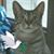 Dot Pelachick's profile image