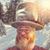 David Gorman's profile image
