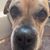 Marianne Marak Kitchenka's profile image