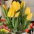 Toscano Nonette's profile image