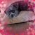 Kathy Timlinfitzgerald's profile image
