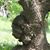 Deborah Elsie Black's profile image