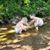 Melinda Reigle's profile image