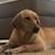 Jim Spagna's profile image
