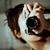 Janelle Kluz's profile image