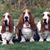 Laura Gleckler's profile image