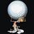 Angelin America's profile image