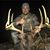Dave Lusk's profile image