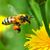 Mark Anderhalt's profile image