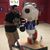 Tone Lozano's profile image