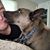 Anthony Raimondo's profile image