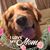 Sue Dykstra's profile image