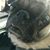 Melissa Rieffer Gunn's profile image