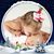 Kristi Voss Hall's profile image