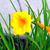 Robyn Tim Klouse's profile image