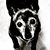 Angie Spielman Whetsell's profile image