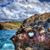 Elizabeth M Armijo's profile image