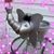 Tina Fish's profile image