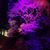 Sally Kempton's profile image