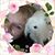 Barbara Volkmar Showers's profile image