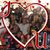 Vickie Hurd's profile image