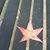 Denise Renate Reinwald's profile image
