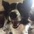 JeanneLove Ferguson's profile image