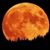 James Curry's profile image