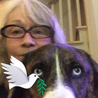 Mary Snow's profile image