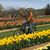 Kathee Callan Kingham's profile image