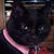 Alanna Weigand's profile image