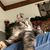 Tina Lewis Kozarik's profile image