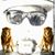 Zane W Levitt's profile image
