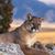 Jeri Miller's profile image