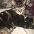 Cathi Eckles's profile image